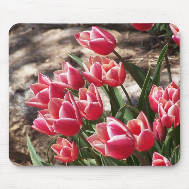 Mousepad Tulipas (Frente)