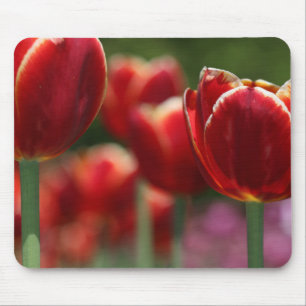 Mousepad Tulipas