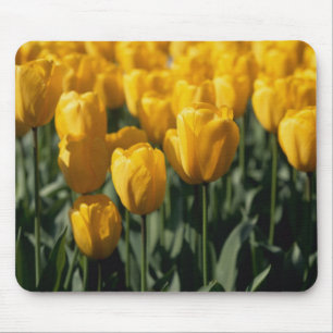Mousepad Tulipas 3