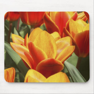 Mousepad Túlipas abundam nos Jardins Keukenhof, Holanda.