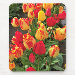 Mousepad Tulipas Amarelas e Vermelhas