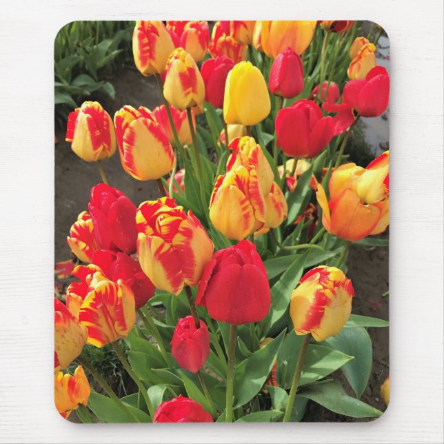 Mousepad Tulipas Amarelas e Vermelhas (Frente)