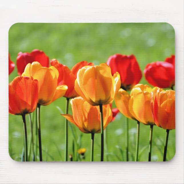 Mousepad Tulipas Amarelas e Vermelhas (Frente)