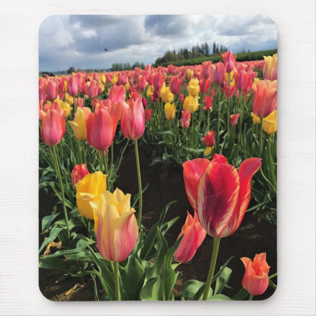 Mousepad Tulipas bonito de Primavera em campo, Oregon (Frente)