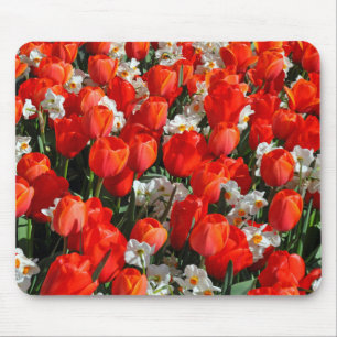 Mousepad Tulipas bonito e daffodils