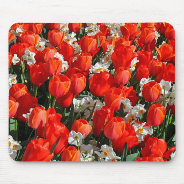 Mousepad Tulipas bonito e daffodils (Frente)