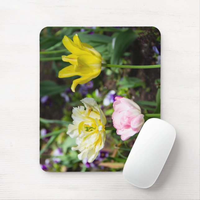 Mousepad Tulipas brancas, cor-de-rosa e amarelas no jardim (Com mouse)