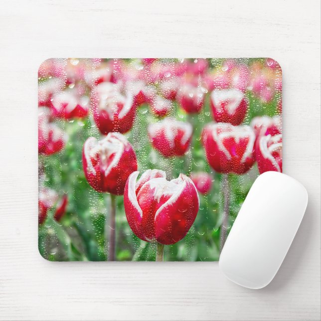 Mousepad Tulipas brancas e vermelhas com gotas de chuva (Com mouse)