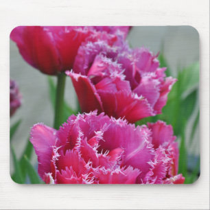 Mousepad Tulipas cor-de-rosa do papagaio