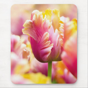 Mousepad Tulipas do Fim-acima