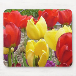 Mousepad Tulipas do Jardim Botânico