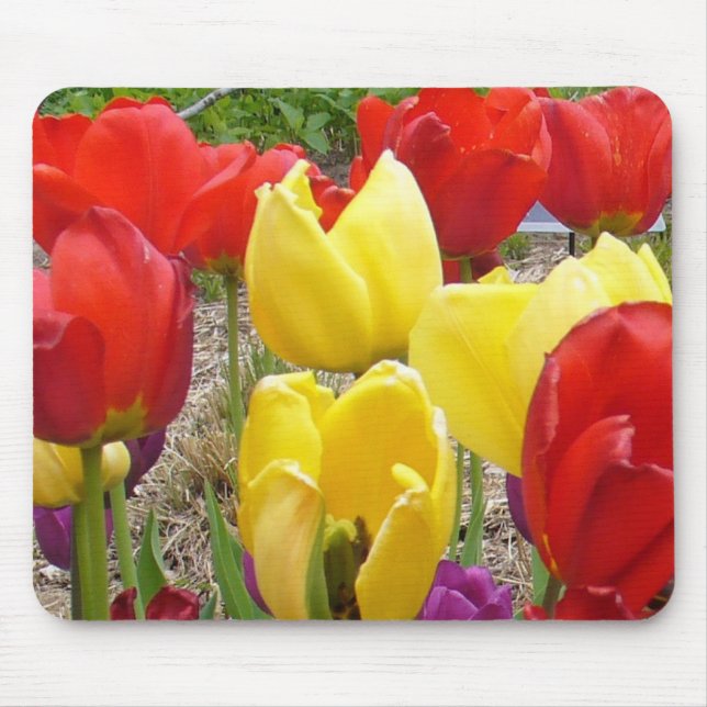 Mousepad Tulipas do Jardim Botânico (Frente)
