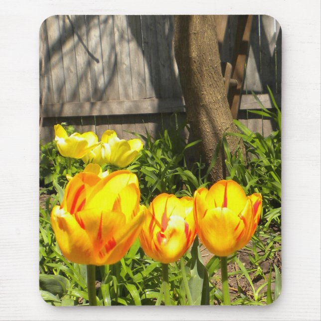 Mousepad tulipas e uma árvore (Frente)