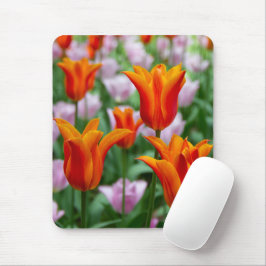 Mousepad Tulipas laranja-claras no parque