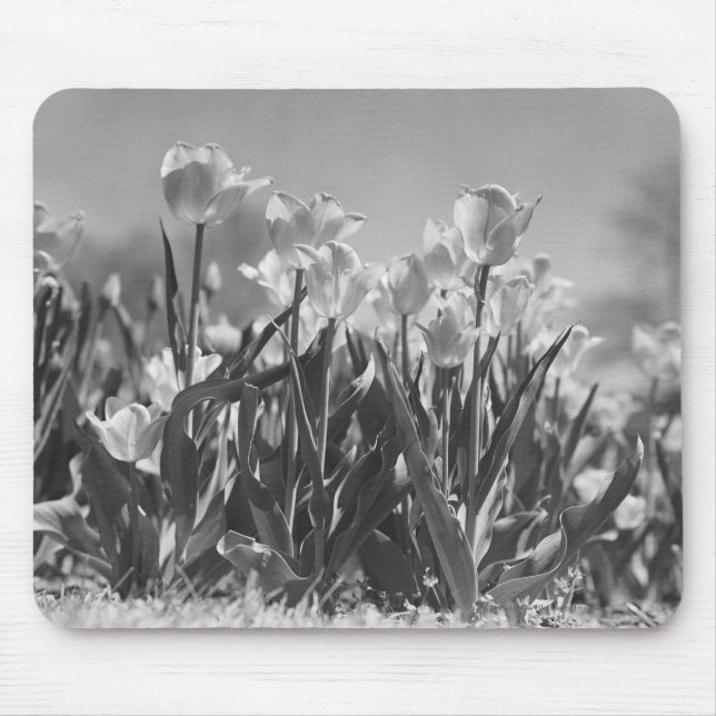 Mousepad Tulipas na flor (Frente)