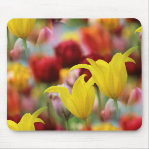 Mousepad Tulipas no Primavera