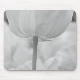 Mousepad Tulipas nos Jardins Keukenhof, Holanda.