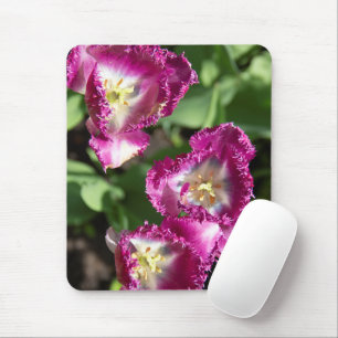 Mousepad Tulipas púrpuras e brancas no jardim