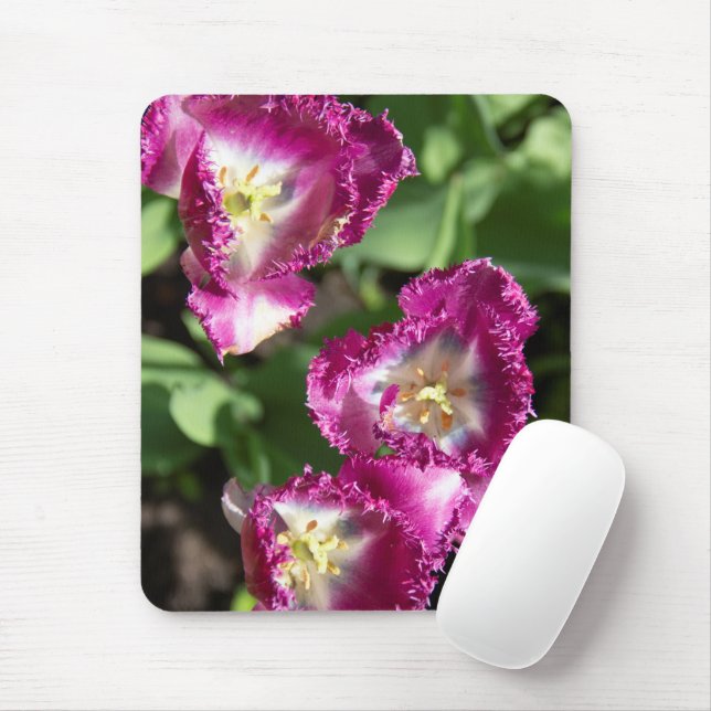 Mousepad Tulipas púrpuras e brancas no jardim (Com mouse)