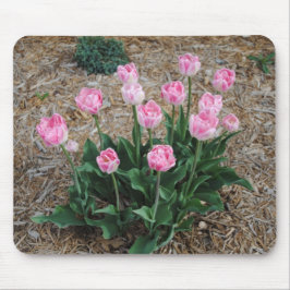 Mousepad Tulipas Rosa