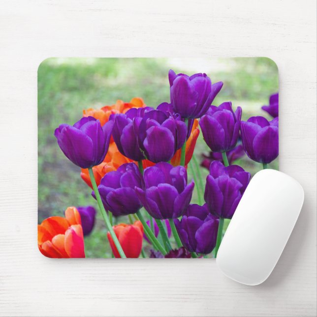 Mousepad Tulipas roxas escuras num dia ensolarado no jardim (Com mouse)