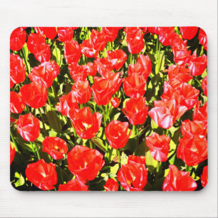 Mousepad Tulipas vermelhas