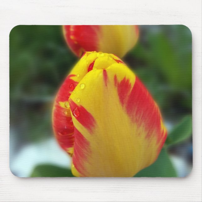 Mousepad tulipas vermelhas amarelas (Frente)