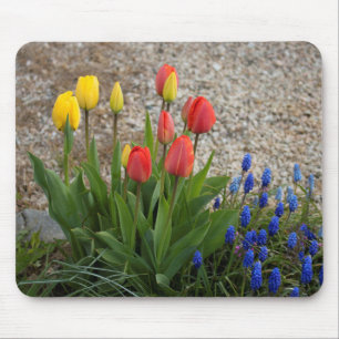 Mousepad Tulipas Vermelhas e Amarelas