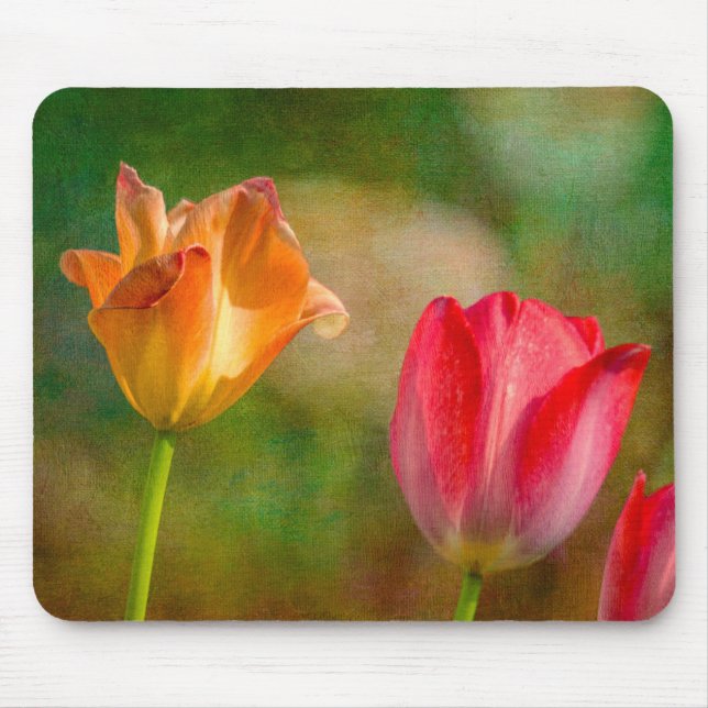 Mousepad Tulipas vermelhas e amarelas em fundo texturizado (Frente)