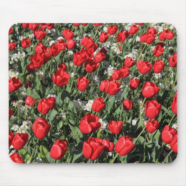 Mousepad Tulipas Vermelhas e Primárias Brancas (Frente)