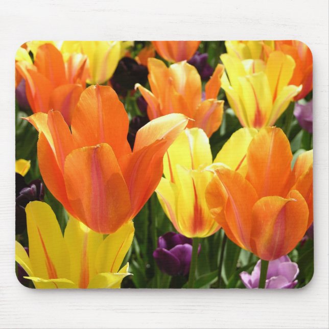 Mousepad Tulips Galore (Frente)