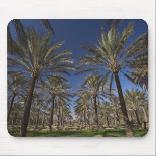 Mousepad Tunísia, Deserto do Saara, Douz, Zona Turística, 2