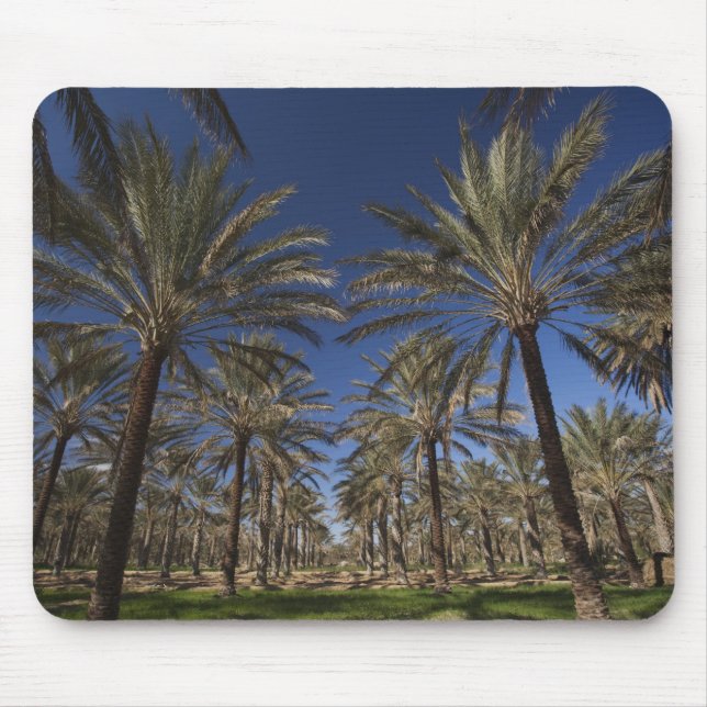 Mousepad Tunísia, Deserto do Saara, Douz, Zona Turística, 2 (Frente)
