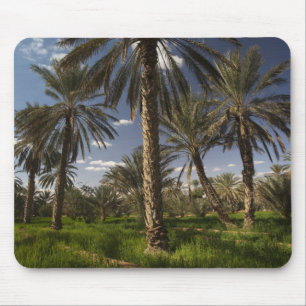 Mousepad Tunísia, Zona de Ksour, Ksar Ghilane, palma de da