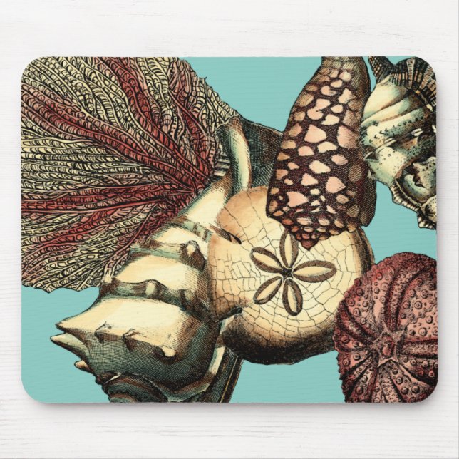 Mousepad Turquesa Shell e Red Coral Collection (Frente)