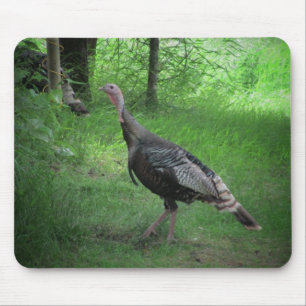 Mousepad Turquia selvagem americana