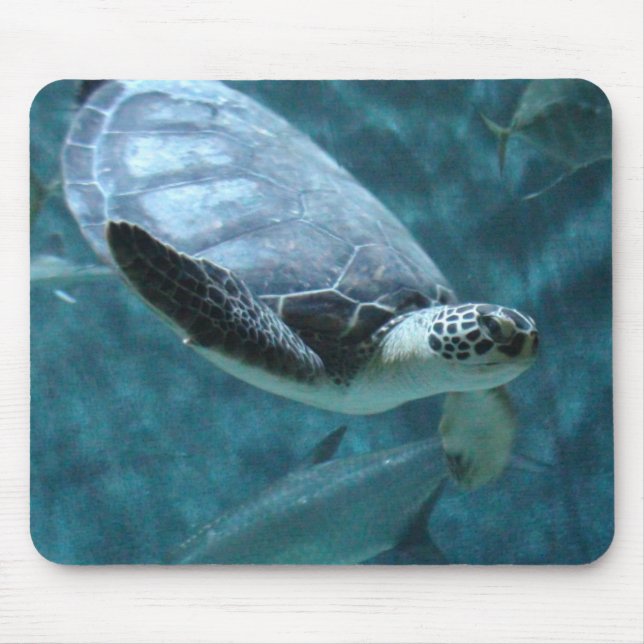 Mousepad Turtle Natando em Pad (Frente)