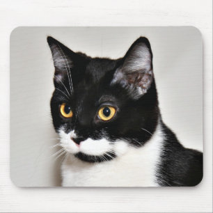 Mousepad Tuxedo cat