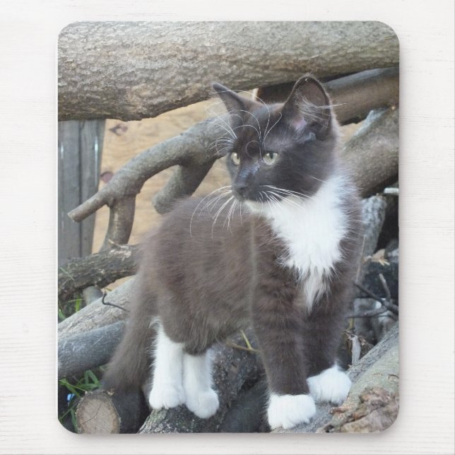 Mousepad Tuxedo Kitten (Frente)