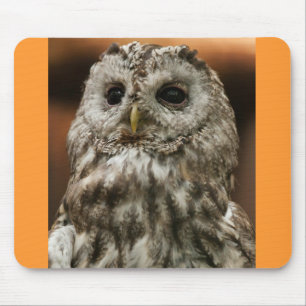 Mousepad Twany Owl