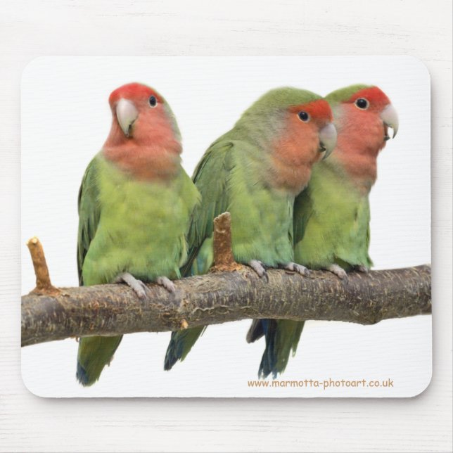 Mousepad Tweet Trio Mousemat (Frente)