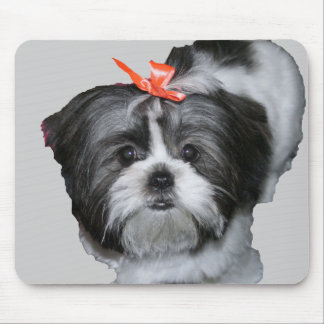 Mousepad tzu de shih