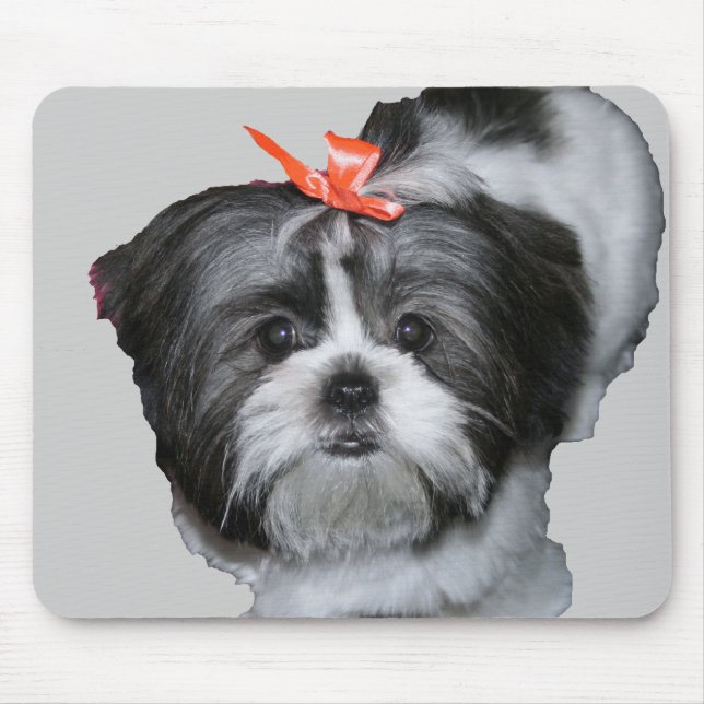Mousepad tzu de shih (Frente)