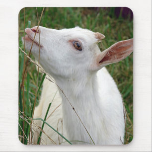 Mousepad Uau!  Esta grama é mais alta que eu