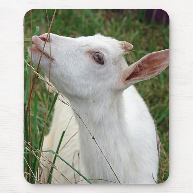 Mousepad Uau! Esta grama é mais alta que eu (Frente)