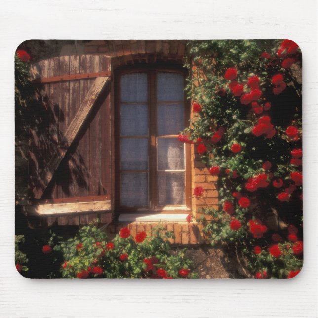 Mousepad UE, França, Provença, Vaucluse, Casa em Apt (Frente)