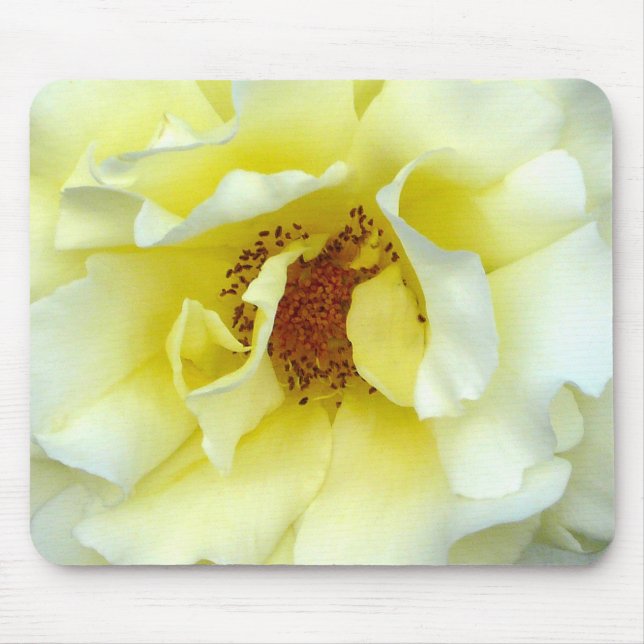 Mousepad Última Rosa de Verão (Frente)