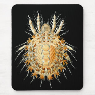 Mousepad Um ácaro