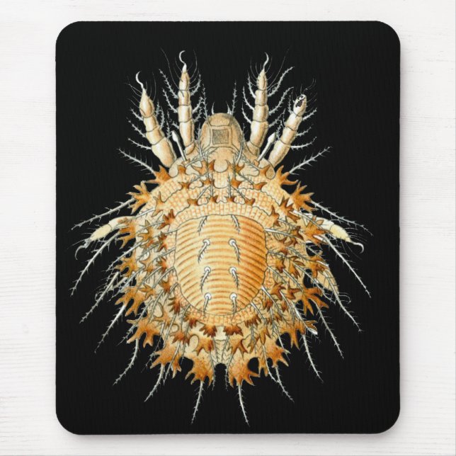 Mousepad Um ácaro (Frente)