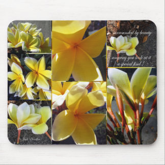 Mousepad Um achado especial